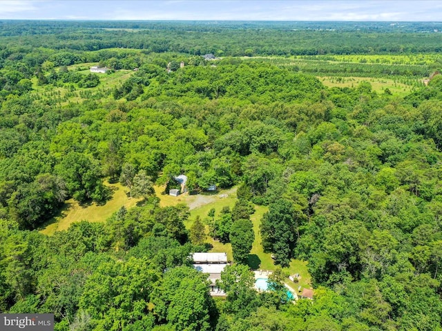  - bird's eye view of a forest