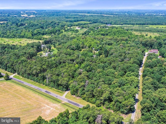  - bird's eye view of a forest
