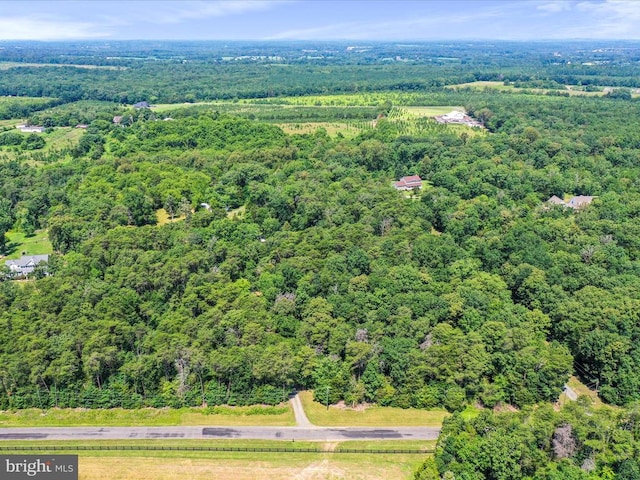  - bird's eye view of a forest