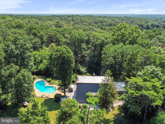  - aerial view of a forest and a pool