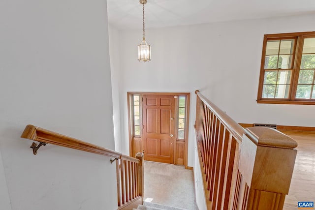 411 Westmoreland Ct, Charlottesville, VA 22901 - foyer entrance with plenty of natural light, light wood-type flooring, and a high ceiling