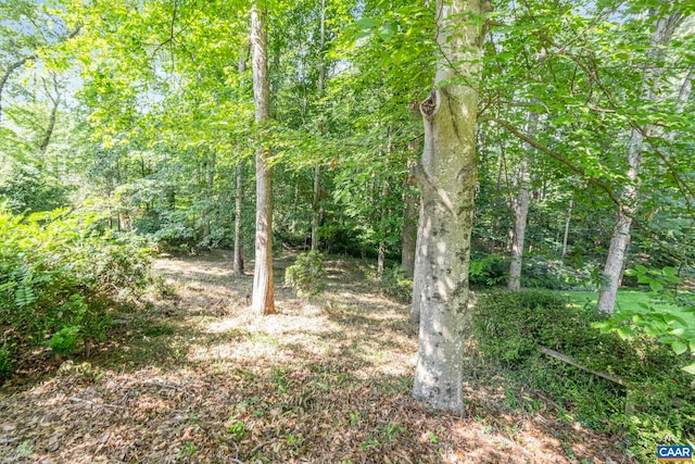 411 Westmoreland Ct, Charlottesville, VA 22901 - view of wooded area