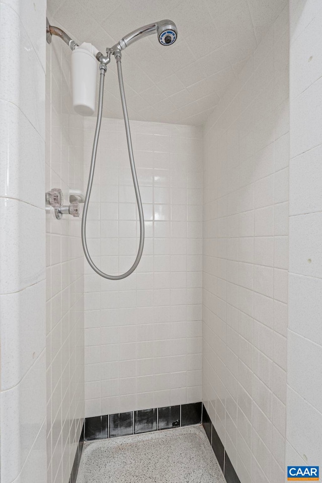 411 Westmoreland Ct, Charlottesville, VA 22901 - full bathroom with a tile shower