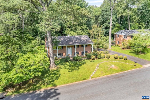411 Westmoreland Ct, Charlottesville, VA 22901 - raised ranch with a front lawn, a forest view, a porch, brick siding, and asphalt driveway