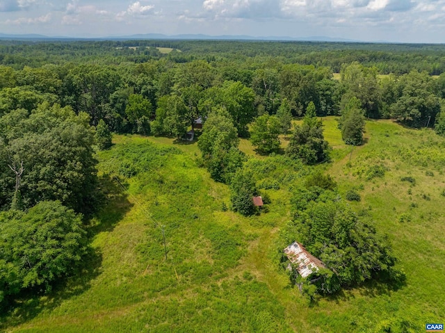 1566 Georges Mill Rd, Palmyra, VA 22963 - photo 43