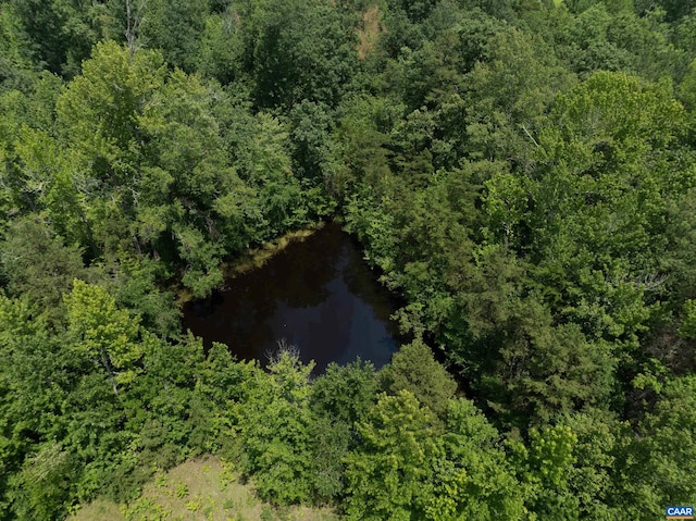 1566 Georges Mill Rd, Palmyra, VA 22963 - photo 5