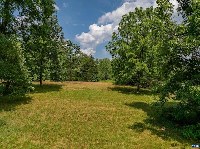 1566 Georges Mill Rd, Palmyra, VA 22963 - photo 46