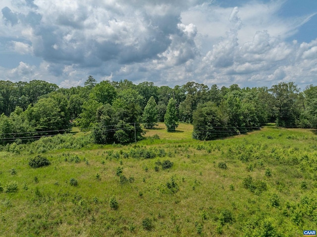 1566 Georges Mill Rd, Palmyra, VA 22963 - photo 4