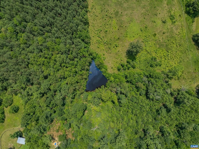 1566 Georges Mill Rd, Palmyra, VA 22963 - photo 26