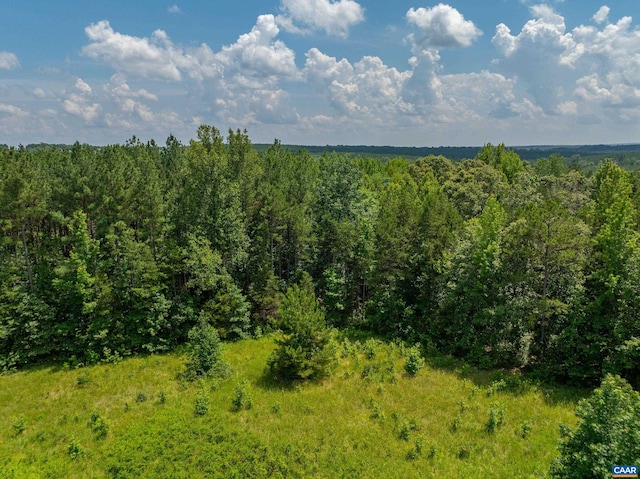 1566 Georges Mill Rd, Palmyra, VA 22963 - photo 42
