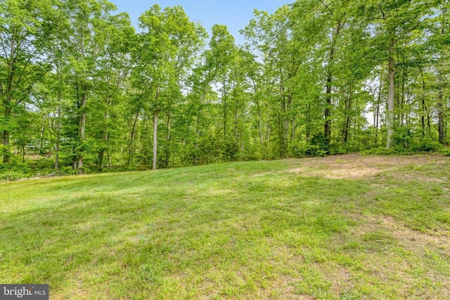 15145 Oakshade Ct, Orange, VA 22960 - photo 8