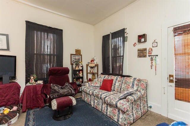 living room with carpet flooring