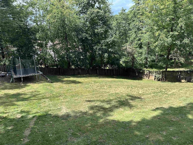 361 Horace Ave, Waynesboro, VA 22980 - photo 46