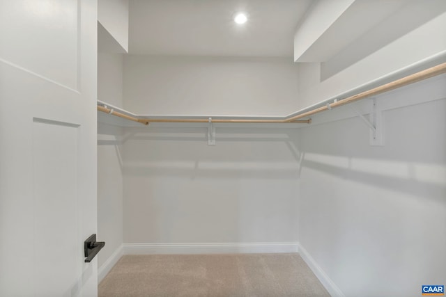 walk in closet featuring carpet floors