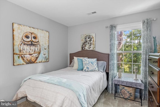 4924 Queensbury Cir, Fredericksburg, VA 22408 - view of carpeted bedroom