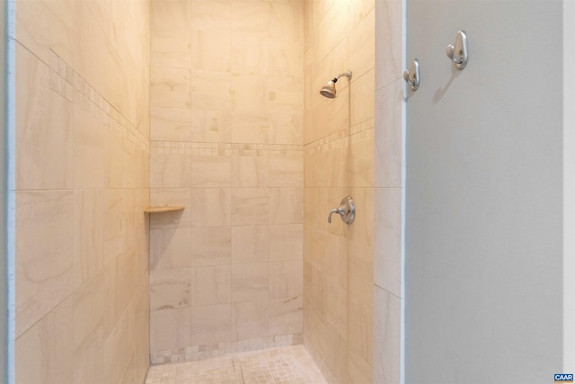 112 5th St SE Unit 3D, Charlottesville, VA 22902 - full bathroom with a tile shower