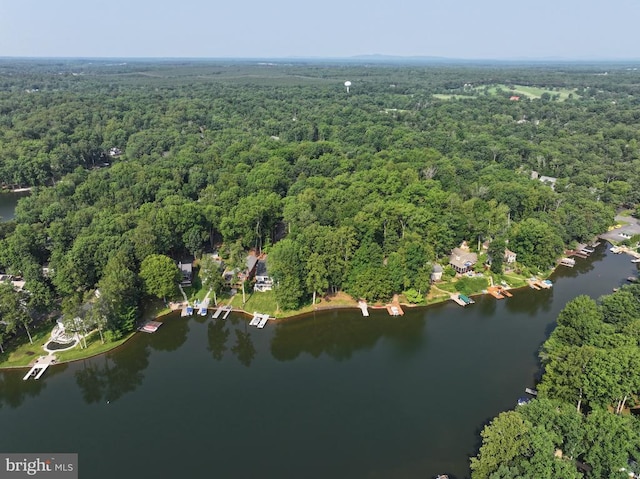 121 Hillside Dr, Locust Grove, VA 22508