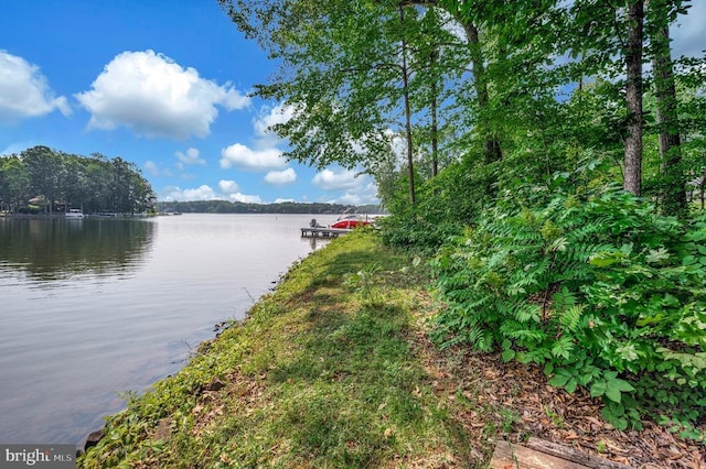121 Hillside Dr, Locust Grove, VA 22508