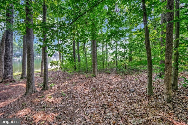 121 Hillside Dr, Locust Grove, VA 22508