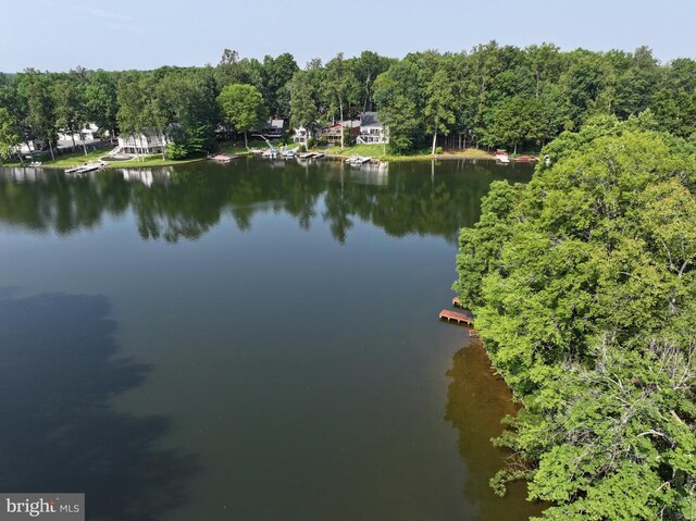 121 Hillside Dr, Locust Grove, VA 22508