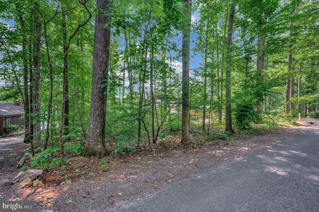 121 Hillside Dr, Locust Grove, VA 22508