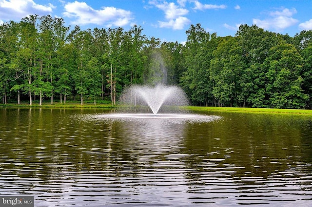 water view with a heavily wooded area