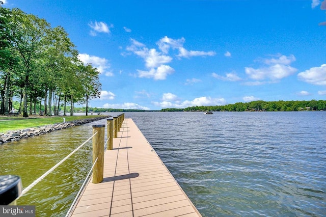 dock featuring a water view