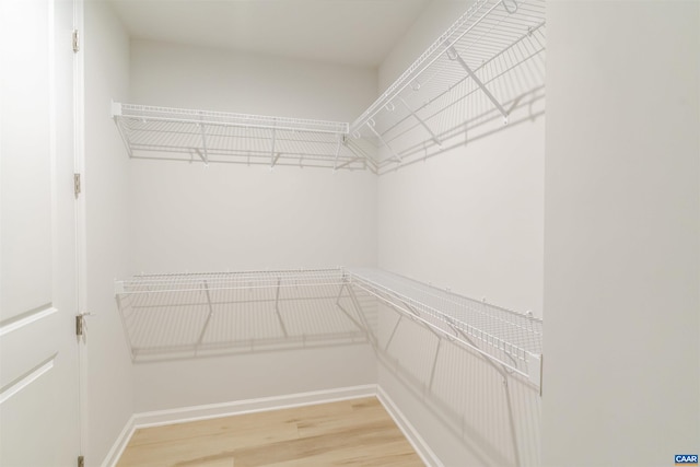 4752 Loyola Way, Charlottesville, VA 22902 - walk in closet featuring light wood-style floors