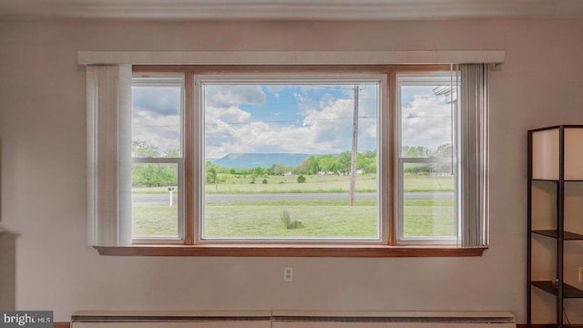 909 Mill Creek Rd, Luray, VA 22835 - view of interior details