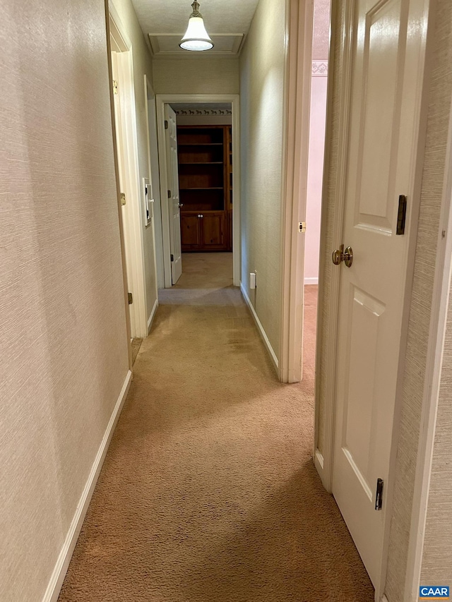 3985 William Ct, Charlottesville, VA 22901 - photo 17