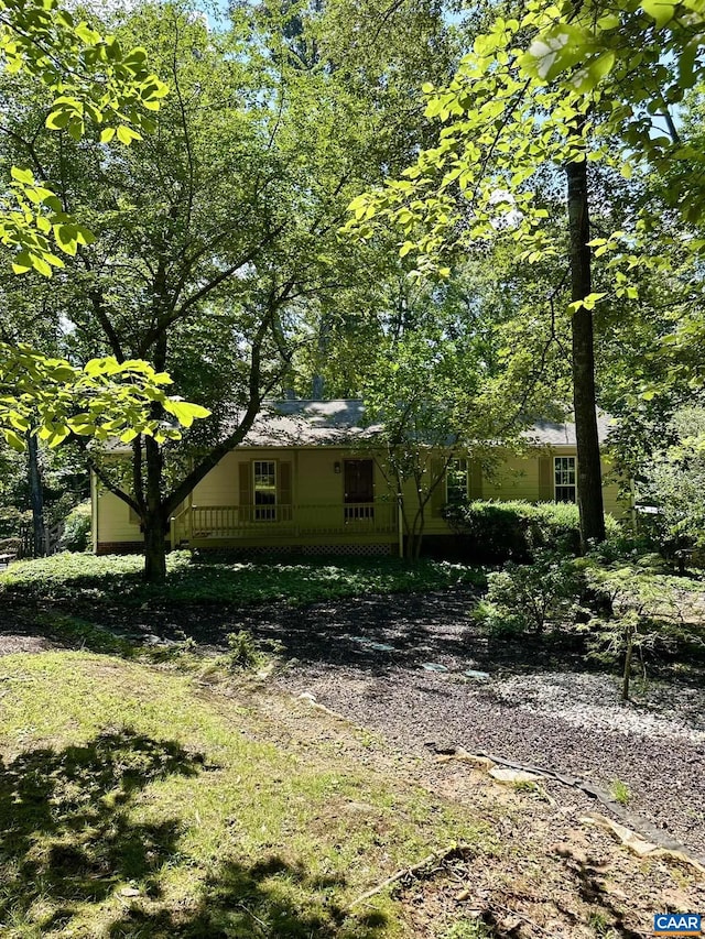 3985 William Ct, Charlottesville, VA 22901 - photo 2