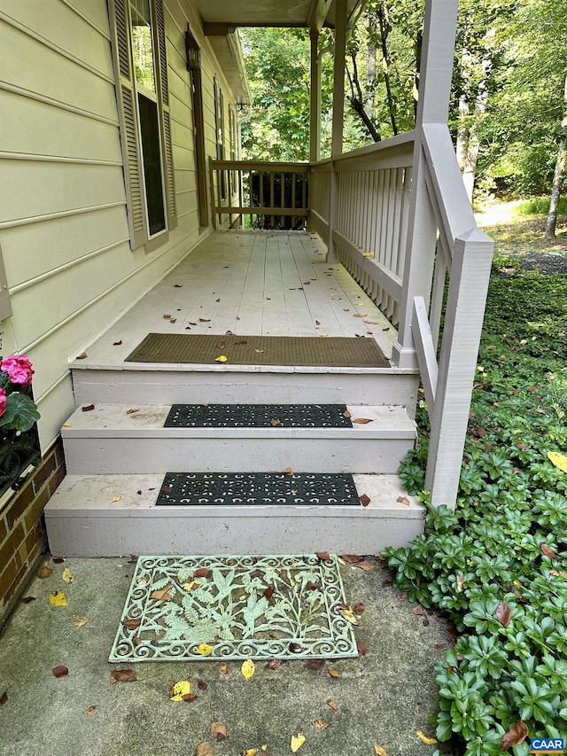 3985 William Ct, Charlottesville, VA 22901 - photo 34