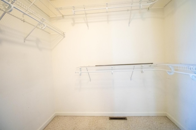spacious closet with carpet floors