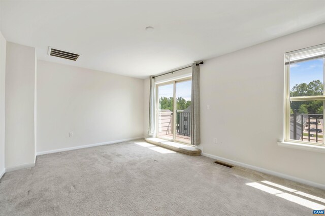 915 Flat Waters Ln, Charlottesville, VA 22911 - carpeted empty room with baseboards