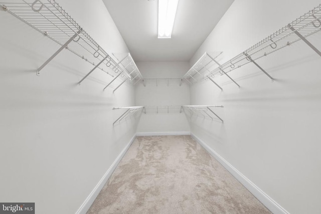 3714 Fairways Ct, Fredericksburg, VA 22408 - spacious closet with carpet