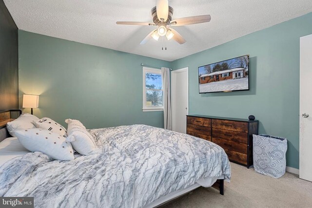 12157 Dogwood Ln, Culpeper, VA 22701 - photo 25