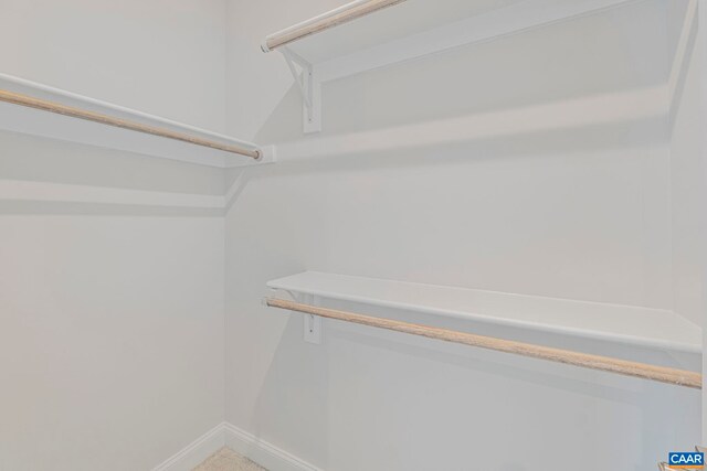 36 Mary Jackson Ct, Charlottesville, VA 22902 - view of walk in closet
