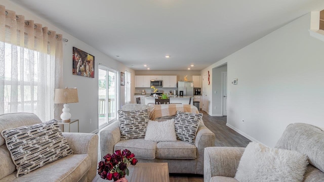 306 Coyote Run, Broadway, VA 22815 - living room featuring wood finished floors, baseboards, and recessed lighting