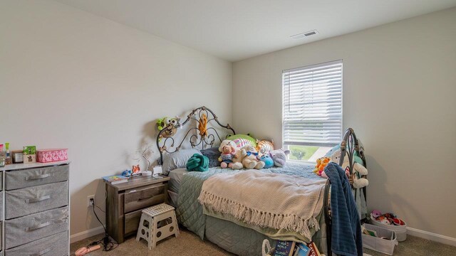 306 Coyote Run, Broadway, VA 22815 - bedroom featuring multiple windows, baseboards, and carpet floors
