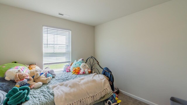 306 Coyote Run, Broadway, VA 22815 - bedroom with carpet and baseboards