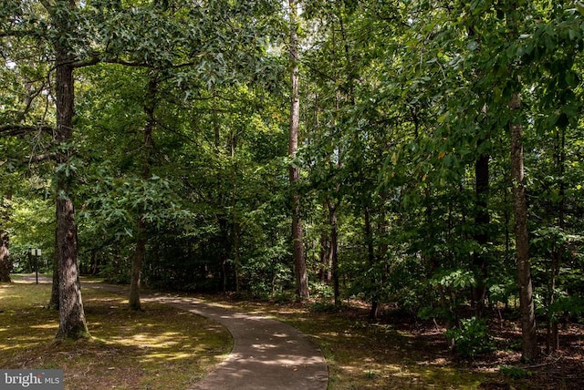 3910 Corbin Hall Ln, Fredericksburg, VA 22408 - view of street featuring a view of trees