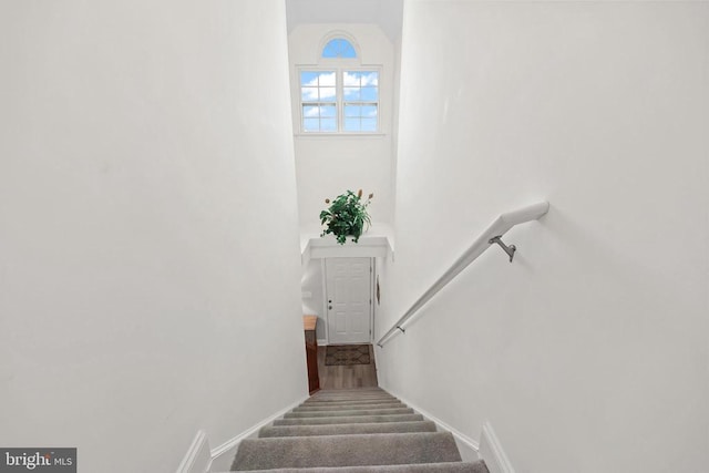 staircase with baseboards, lofted ceiling, and carpet floors