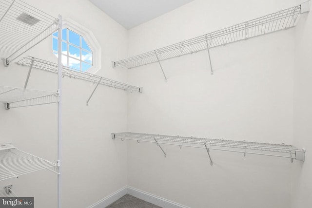 view of spacious closet