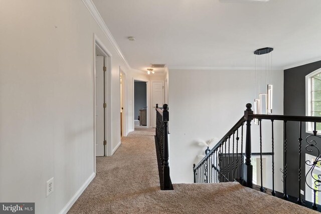 221 Cannon Way, Warrenton, VA 20186 - photo 34