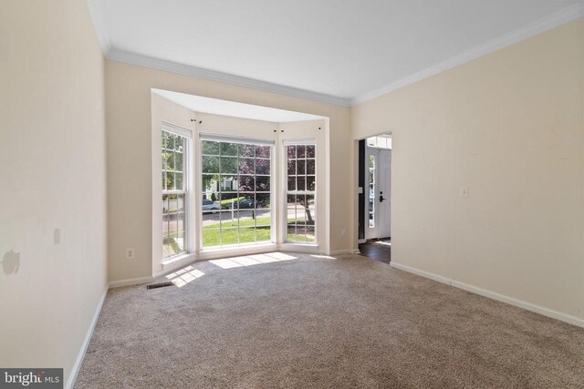 221 Cannon Way, Warrenton, VA 20186 - photo 10