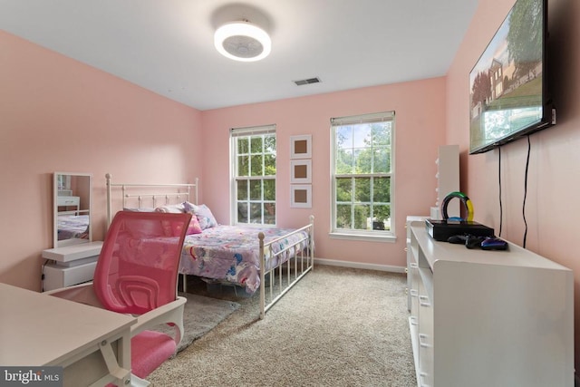 221 Cannon Way, Warrenton, VA 20186 - photo 40
