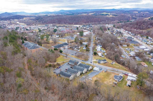 2754 Maple Ave, Buena Vista, VA 24416 - drone / aerial view with a mountain view