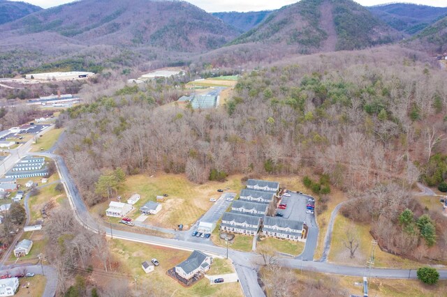 2754 Maple Ave, Buena Vista, VA 24416 - birds eye view of property with a view of trees and a mountain view