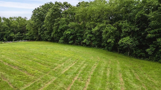 757 Entry School Rd, Waynesboro, VA 22980 - view of yard with a wooded view and a view of rural / pastoral area