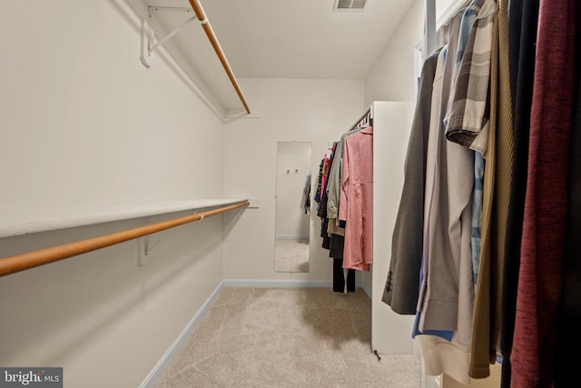 15066 Colin Ln, Amissville, VA 20106 - photo 27